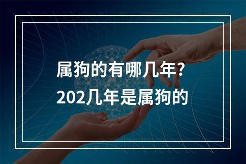 属狗的有哪几年? 202几年是属狗的