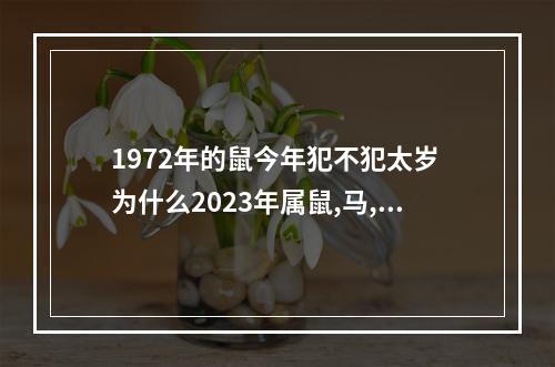 1972年的鼠今年犯不犯太岁 为什么2023年属鼠,马,兔,羊鸡犯太岁?