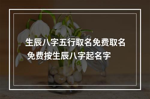 生辰八字五行取名免费取名 免费按生辰八字起名字