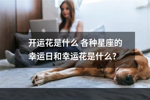 开运花是什么 各种星座的幸运日和幸运花是什么?