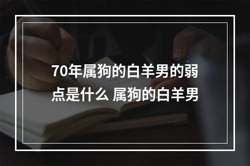70年属狗的白羊男的弱点是什么 属狗的白羊男