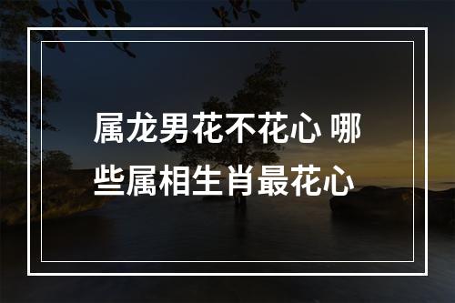 属龙男花不花心 哪些属相生肖最花心