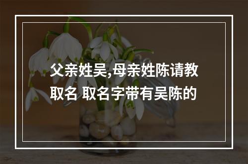 父亲姓吴,母亲姓陈请教取名 取名字带有吴陈的