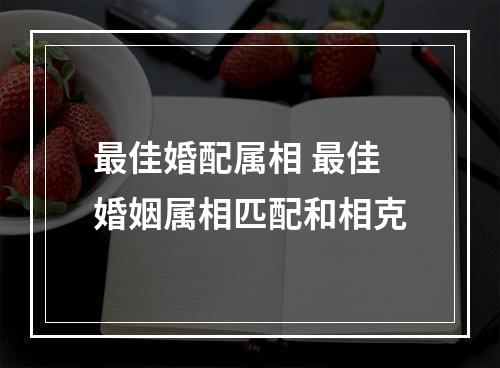 最佳婚配属相 最佳婚姻属相匹配和相克