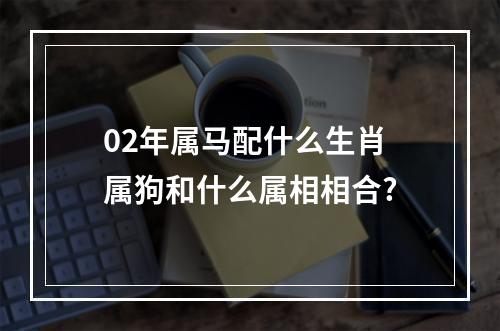 02年属马配什么生肖 属狗和什么属相相合?