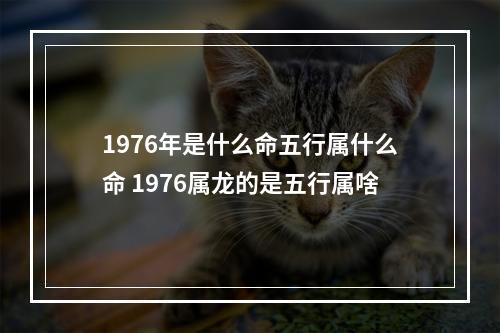 1976年是什么命五行属什么命 1976属龙的是五行属啥