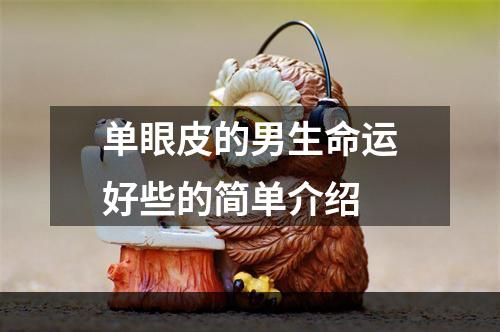 单眼皮的男生命运好些的简单介绍