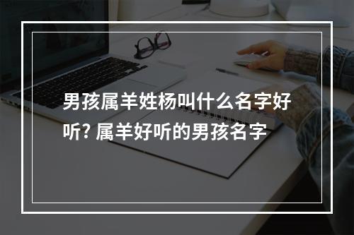 男孩属羊姓杨叫什么名字好听? 属羊好听的男孩名字