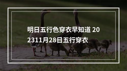 明日五行色穿衣早知道 202311月28日五行穿衣
