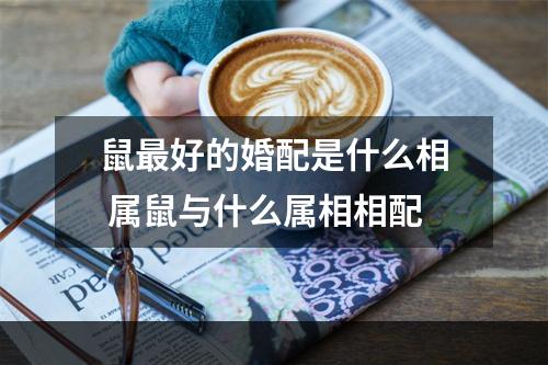 鼠最好的婚配是什么相 属鼠与什么属相相配