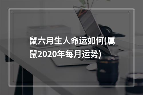 鼠六月生人命运如何(属鼠2020年每月运势)