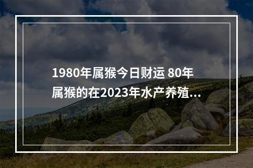 1980年属猴今日财运 80年属猴的在2023年水产养殖运气怎么样?