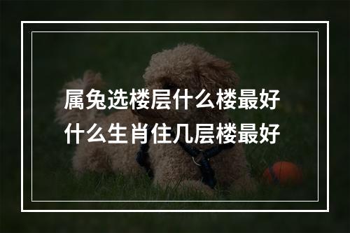 属兔选楼层什么楼最好 什么生肖住几层楼最好