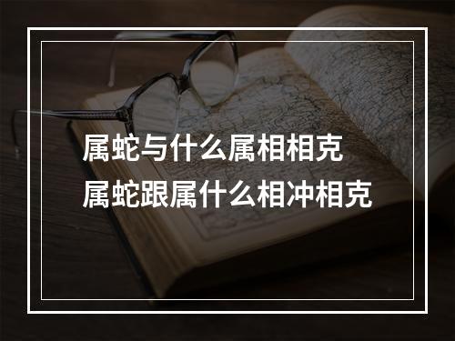 属蛇与什么属相相克 属蛇跟属什么相冲相克