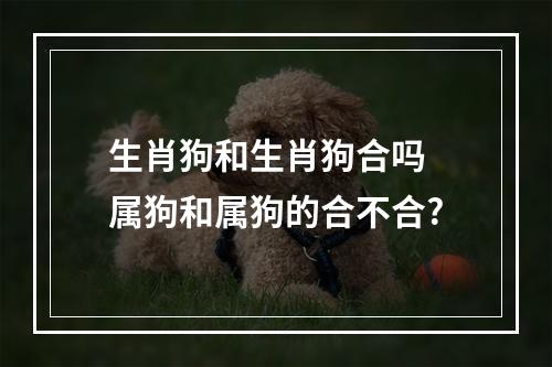 生肖狗和生肖狗合吗 属狗和属狗的合不合?
