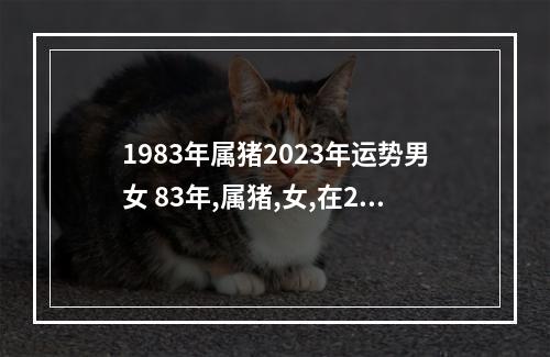 1983年属猪2023年运势男女 83年,属猪,女,在2023年的总体运势如何?谢谢!