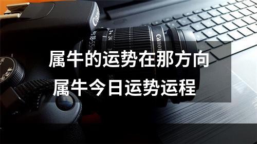 属牛的运势在那方向 属牛今日运势运程