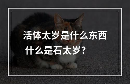 活体太岁是什么东西 什么是石太岁?