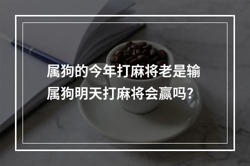 属狗的今年打麻将老是输 属狗明天打麻将会赢吗?