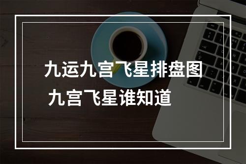 九运九宫飞星排盘图 九宫飞星谁知道