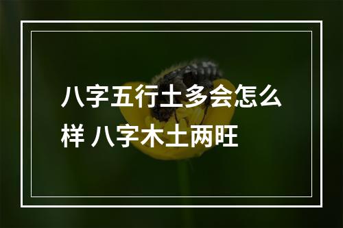 八字五行土多会怎么样 八字木土两旺
