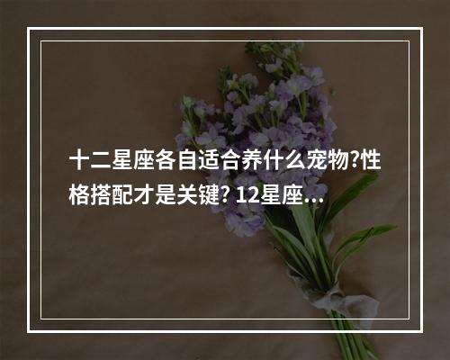 十二星座各自适合养什么宠物?性格搭配才是关键? 12星座守护花精灵王