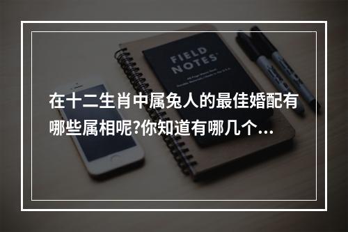 在十二生肖中属兔人的最佳婚配有哪些属相呢?你知道有哪几个吗?_百度知... 12属相婚配表属兔男人婚配属相