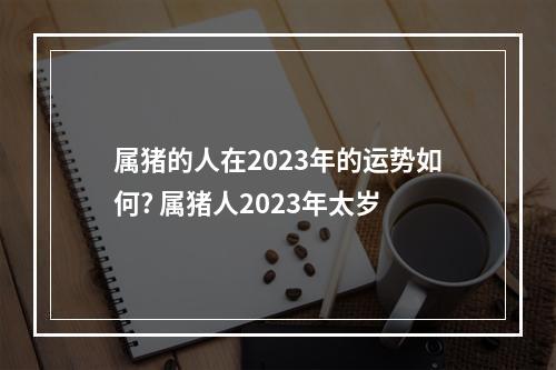 属猪的人在2023年的运势如何? 属猪人2023年太岁