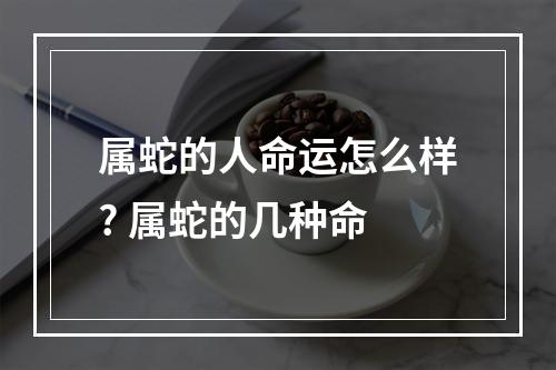 属蛇的人命运怎么样? 属蛇的几种命