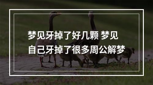梦见牙掉了好几颗 梦见自己牙掉了很多周公解梦