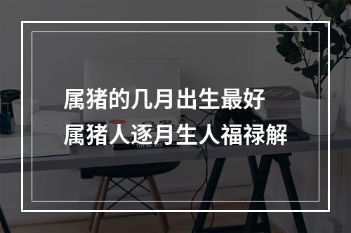 属猪的几月出生最好 属猪人逐月生人福禄解