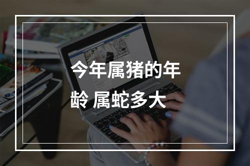 今年属猪的年龄 属蛇多大