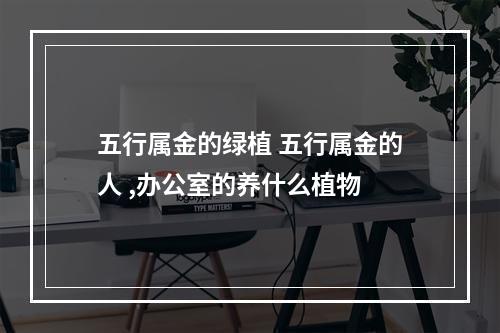 五行属金的绿植 五行属金的人 ,办公室的养什么植物