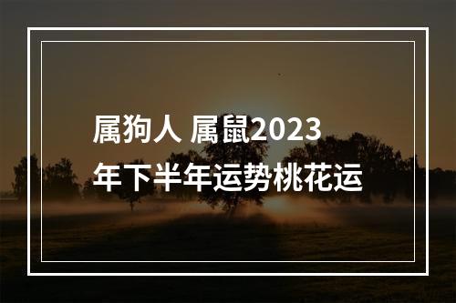 属狗人 属鼠2023年下半年运势桃花运
