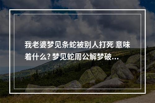 我老婆梦见条蛇被别人打死 意味着什么? 梦见蛇周公解梦破解被我打死了
