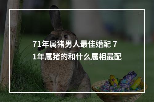 71年属猪男人最佳婚配 71年属猪的和什么属相最配