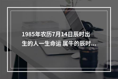 1985年农历7月14日辰时出生的人一生命运 属牛的辰时生是什么命