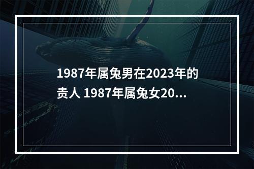 1987年属兔男在2023年的贵人 1987年属兔女2023年全年运势怎么样?