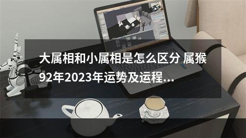 大属相和小属相是怎么区分 属猴92年2023年运势及运程?