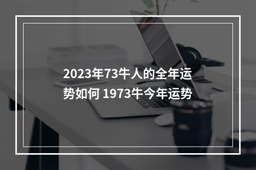 2023年73牛人的全年运势如何 1973牛今年运势