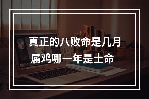 真正的八败命是几月 属鸡哪一年是土命