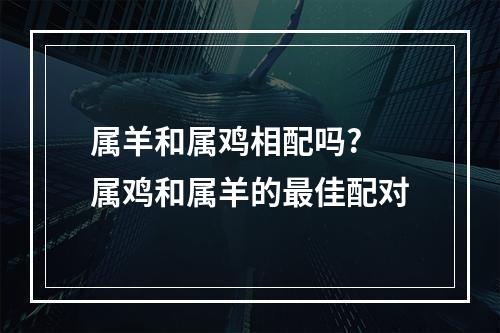 属羊和属鸡相配吗? 属鸡和属羊的最佳配对