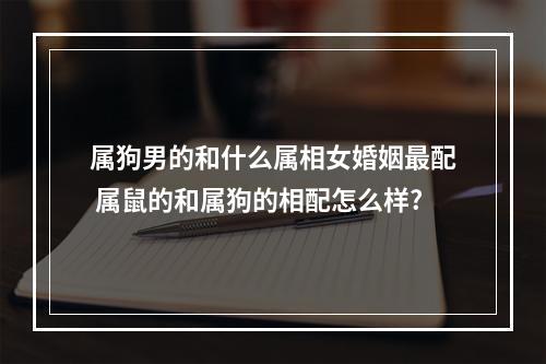 属狗男的和什么属相女婚姻最配 属鼠的和属狗的相配怎么样?