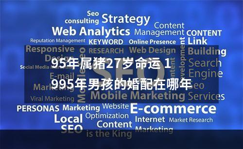 95年属猪27岁命运 1995年男孩的婚配在哪年