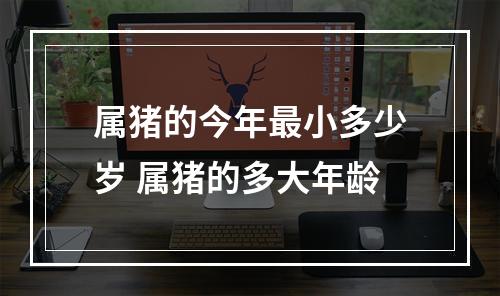 属猪的今年最小多少岁 属猪的多大年龄