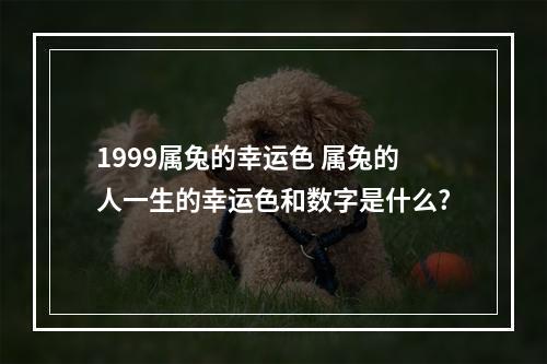 1999属兔的幸运色 属兔的人一生的幸运色和数字是什么?