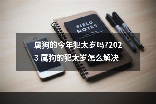 属狗的今年犯太岁吗?2023 属狗的犯太岁怎么解决