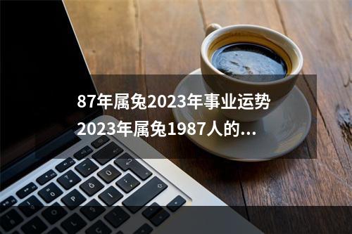 87年属兔2023年事业运势 2023年属兔1987人的全年每月运势?