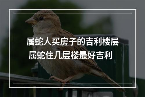属蛇人买房子的吉利楼层 属蛇住几层楼最好吉利