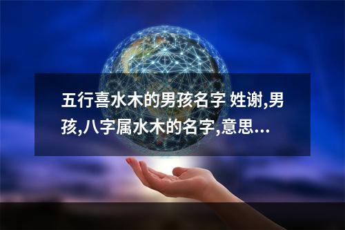五行喜水木的男孩名字 姓谢,男孩,八字属水木的名字,意思好的。